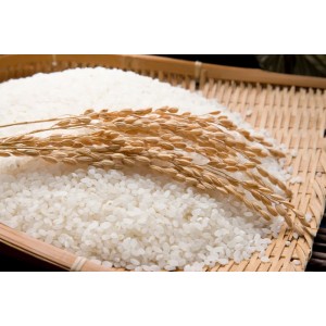 100% 우리쌀 새청무 10kg
